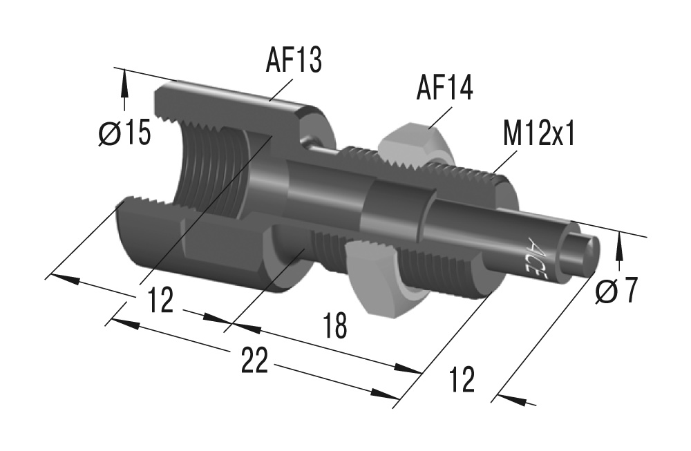 BV12