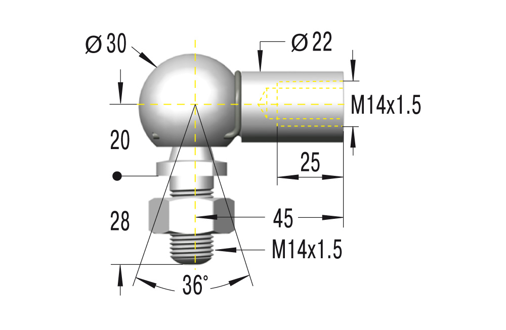 C14